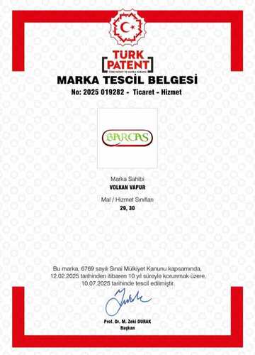 Patent Belgesi 2